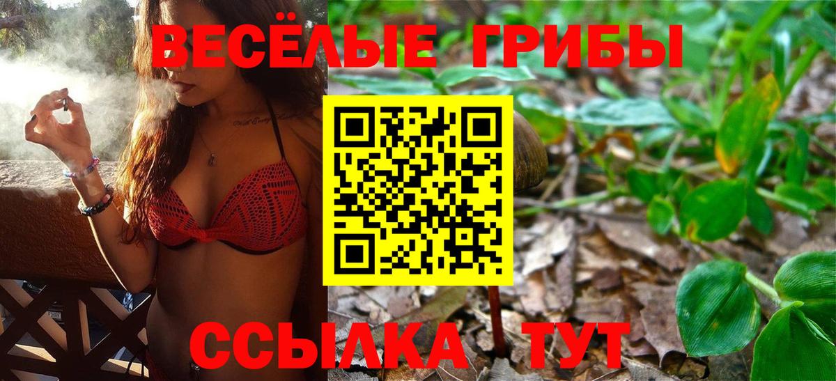 Севастополь  Псилоцибиновые грибы Magic Shrooms  Вход с VPN 